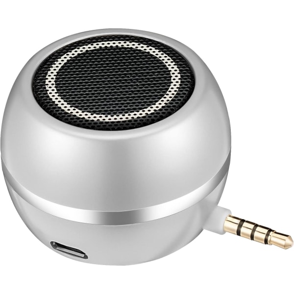 Portable Speaker (Silver) with 3.5mm AUX Audio Jack, Clear Bass f