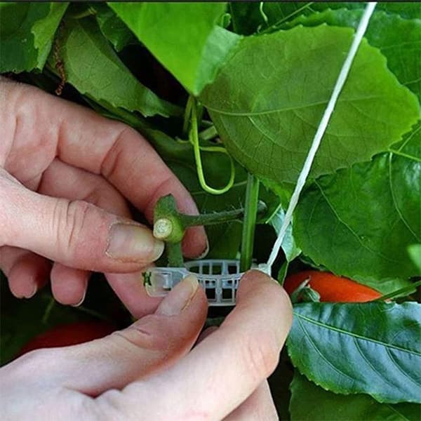 10 stk tomatplanteklips med wire