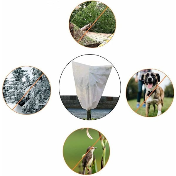 Vinterdækken til planter, vinterdækken til planter, vintersejl, vi