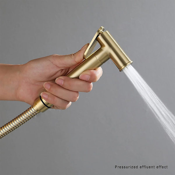 Håndholdt bidet-sprayer for toalett, toalett-spraysett børstet gull