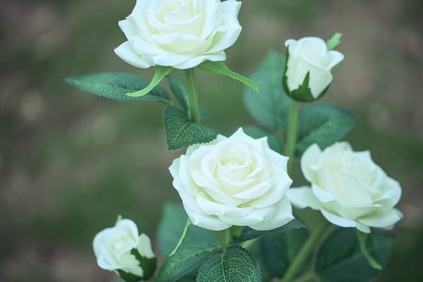 2 Pakke Solcellelys Utendørs Rose Blomster Dekorative Lys for Gar