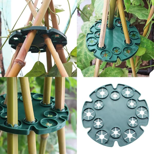 Set med 6 stöd för bambustammar, klätterväxter, tomatplanta