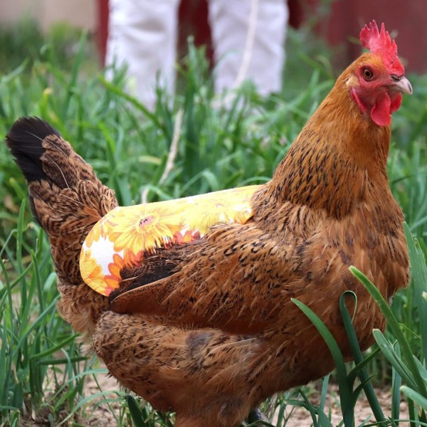 Fjerkræ Kylling Sadel Forklæde, (Solsikke)) sikkerhedsvest til kylling