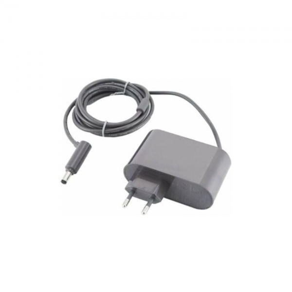V6-oplader til Dyson V7 V8 DC58 DC59 DC61 DC62 SV03 SV04 SV05 SV06
