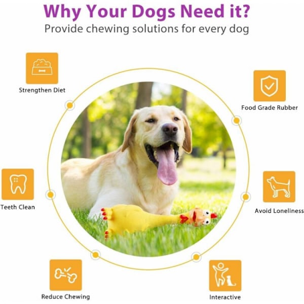 Interaktiv hund leksak, pip leksaker, hund tillbehör spel, C