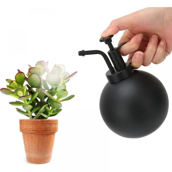 (Sort) Lille Vandkande til Indendørs Planter, 500ml Rustfrit Stål Vandkande