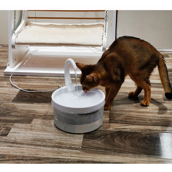 Kattvattendispenser, Automatisk Vattenfontän, Hygienisk Cool Drin