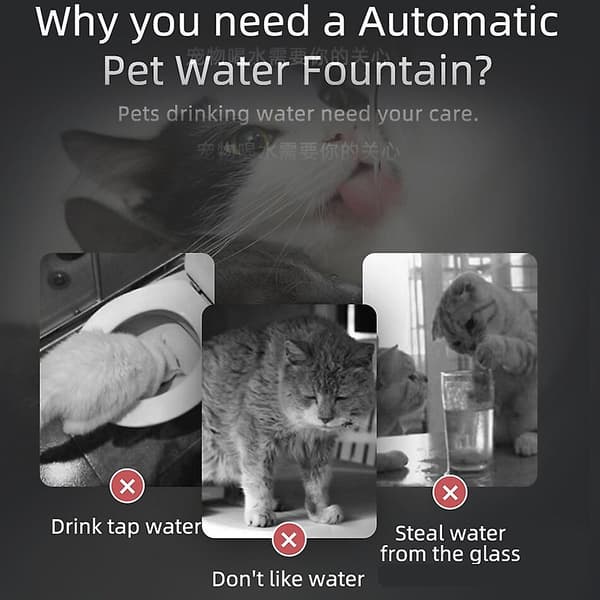 Fyrkantig transparent kattfontän dricksfontän smart vattenfilter