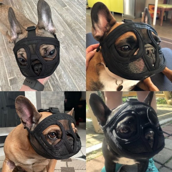 M Säädettävä Bulldog Kuonokoppa Estä Puremista Pureskelua Haukkumista
