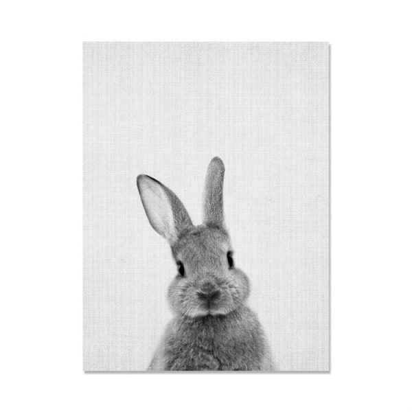 Kanin före och efter datorn Utskrift dekorativ målning Ramlös kärna, storlek: 50x70 cm (grå kanin framsida)
