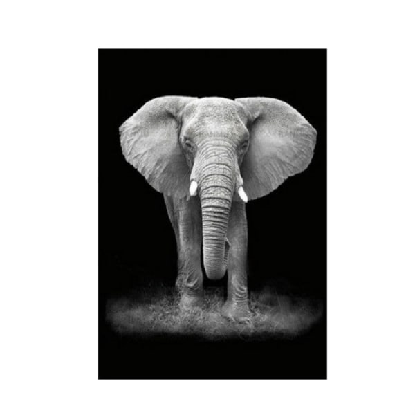Enkel svartvit djurdekoration Målning Studie Vardagsrum Soffa Bakgrund Väggmålning utan ram, storlek: 30X40cm (elefant)