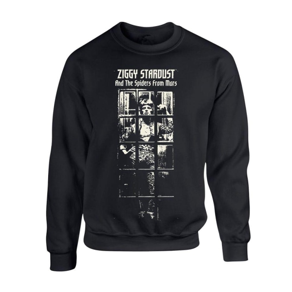 David Bowie  Ziggy Stardust bw  Tröja/ Sweatshirt Black L