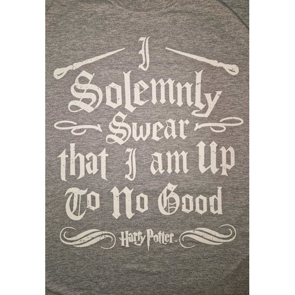 Harry Potter Solemnly Swear T-Skjorter Grey M