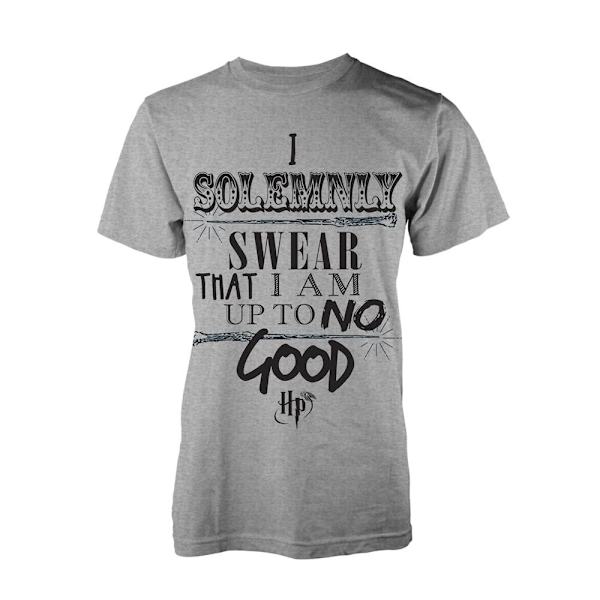 Harry Potter Up To No Good T-Skjorter Grey XL