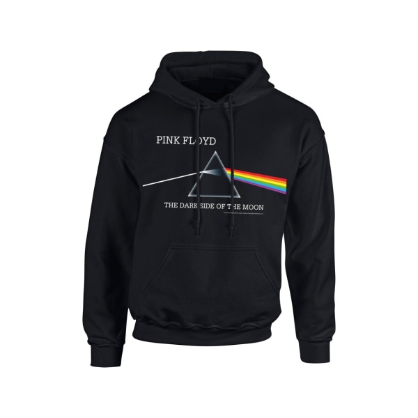Pink Floyd - Dark side Album hoodie Hoodie Black L