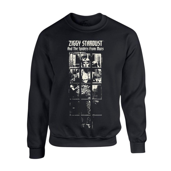 David Bowie  Ziggy Stardust bw  Tröja/ Sweatshirt Black XL