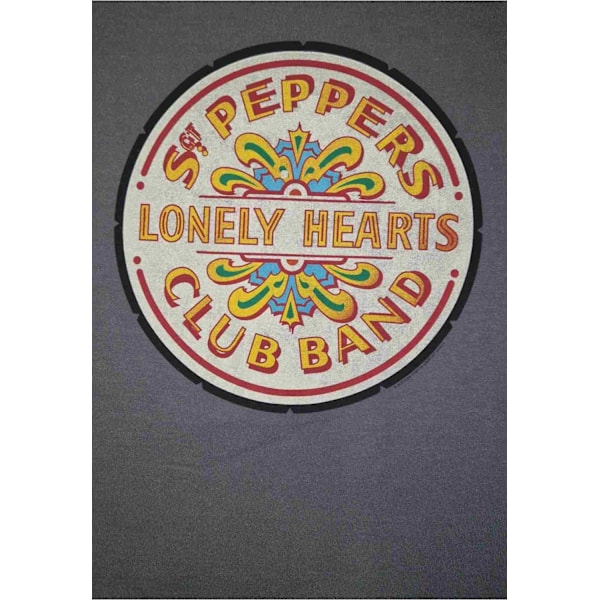 Beatles lonely Hearts Club Tröja/ Sweatshirt Grey XL