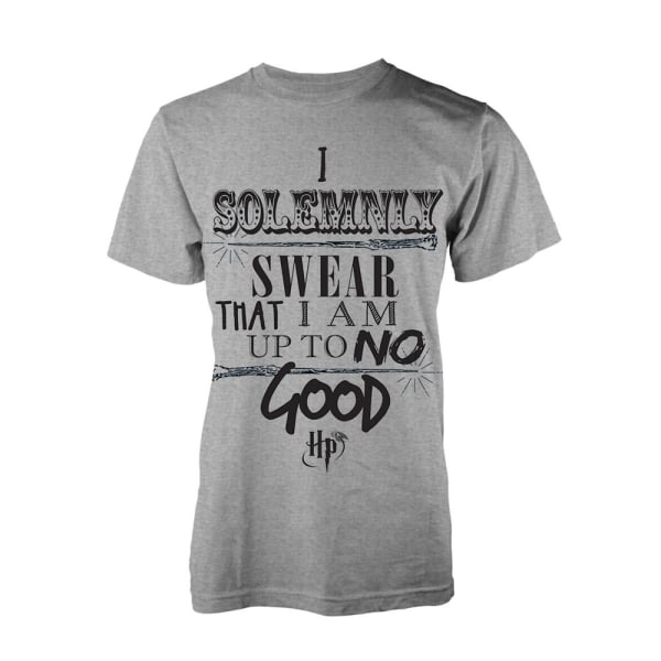 Harry Potter Up To No Good  T-Paita Grey M