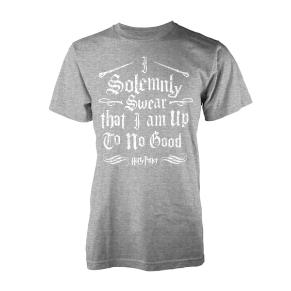 Harry Potter Solemnly Swear T-Skjorter Grey XL