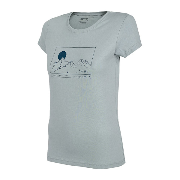 T-paidat 4F TSD065 Harmaat 174 - 177 cm/XXL