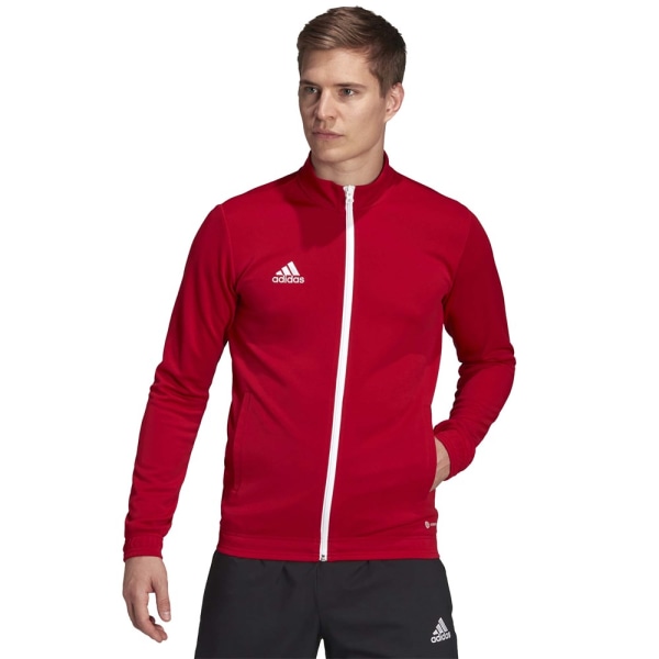 Sweatshirts Adidas Entrada 22 Rød 188 - 193 cm/XXL