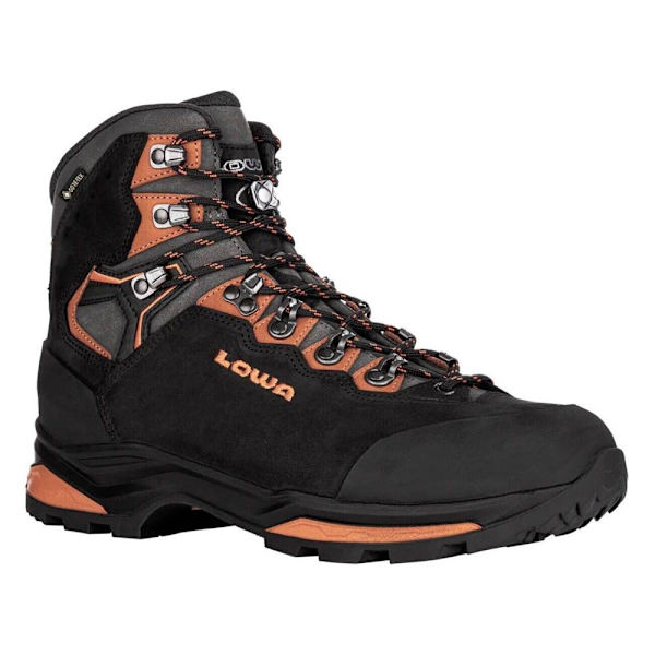 Sko Lowa Camino Evo Gtx Sort 42