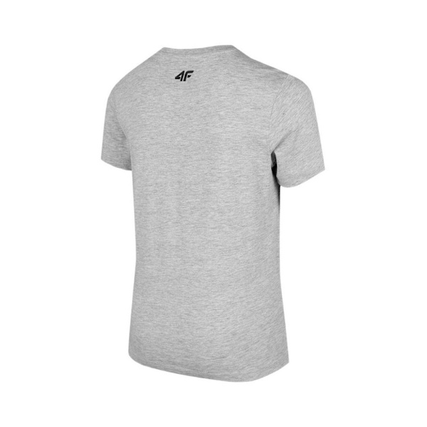T-shirts 4F JTSM001 Grå 146 - 151 cm