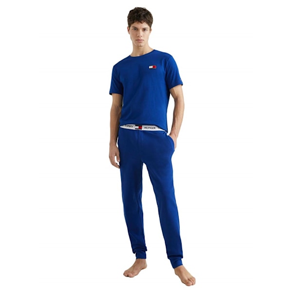 Housut Tommy Hilfiger UM0UM01769C7L Vaaleansiniset 175 - 179 cm/L