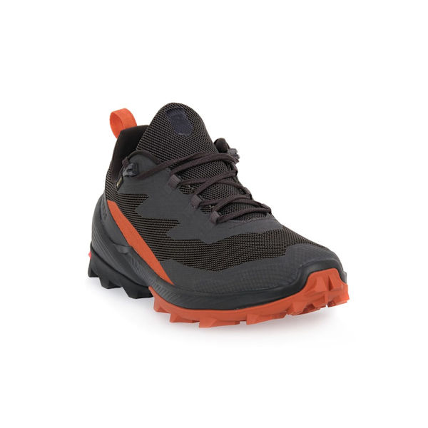 Lågskor Salomon Cross Over 2 Gtx Gråa 43 1/3