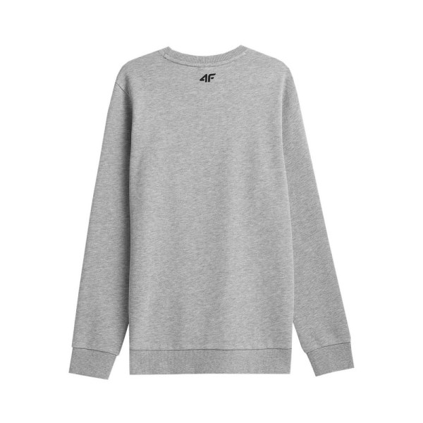 Sweatshirts 4F M692 M 27m Grå 182 - 185 cm/XL
