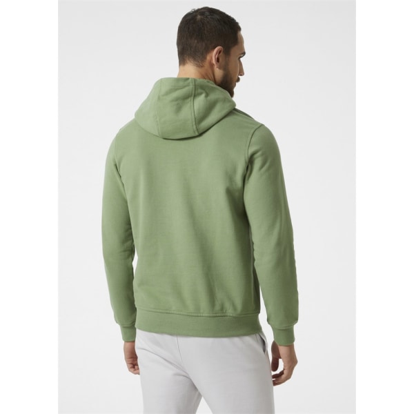 Sweatshirts Helly Hansen 53289406 Grøn 167 - 173 cm/S