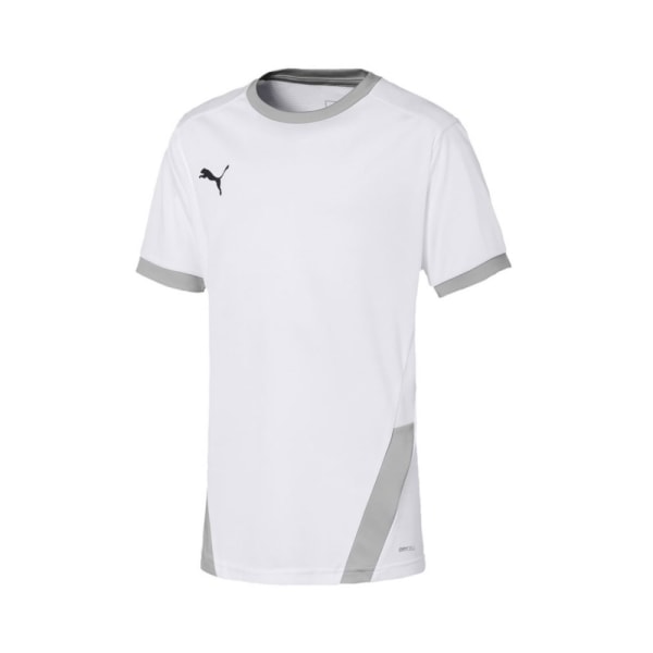 Shirts Puma Teamgoal 23 Jersey Vit,Gråa 152 - 164 cm/L