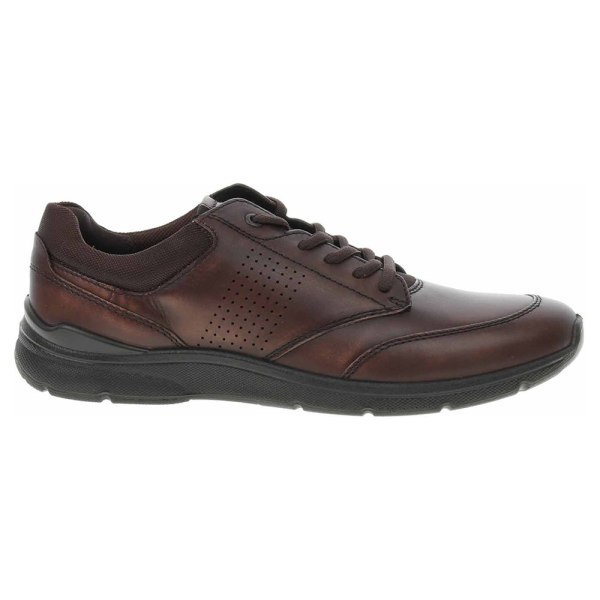 Sneakers low Ecco Irving Brun 45