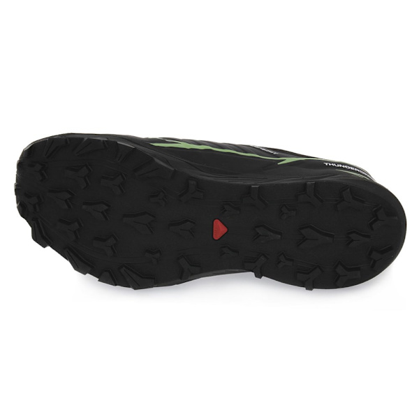 Lågskor Salomon Thundercross Gtx Svarta 42 2/3