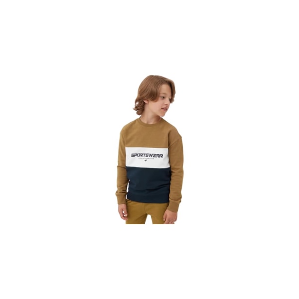 Sweatshirts 4F 4FJAW23TSWSM63074S Brun,Flåde 140 - 145 cm