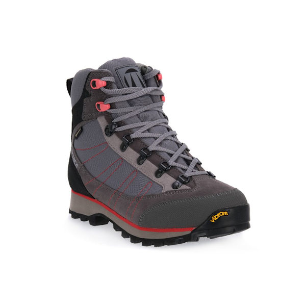 Kengät Tecnica 024 Makalu Iv Gtx W Harmaat 38