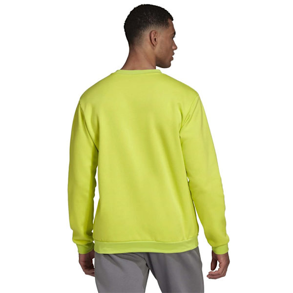 Sweatshirts Adidas Entrada 22 Gula 158 - 163 cm/XS