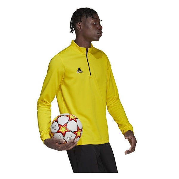 Sweatshirts Adidas Entrada 22 Training Gul 164 - 169 cm/S