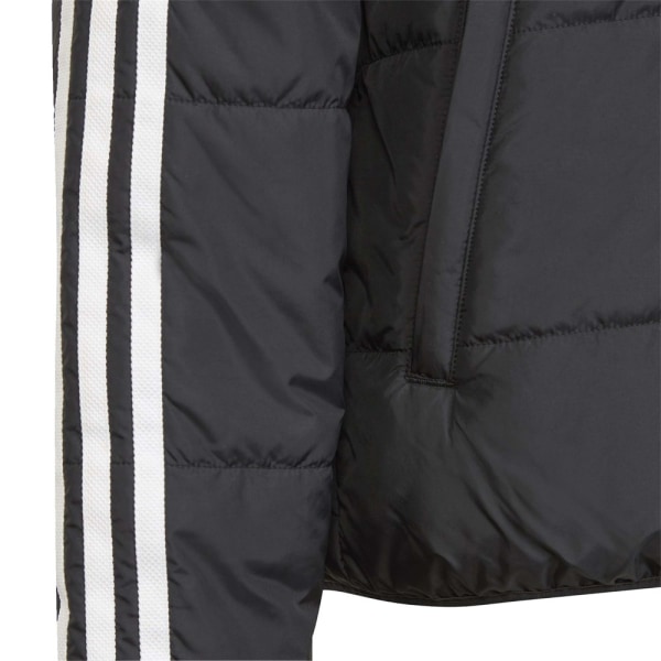 Jakker Adidas Padded Jacket Sort 135 - 140 cm/9 - 10 år