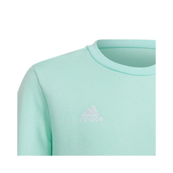 Puserot je Fleecet Adidas Entrada 22 Sweat Top Vaaleanvihreä 159 - 164 cm/L