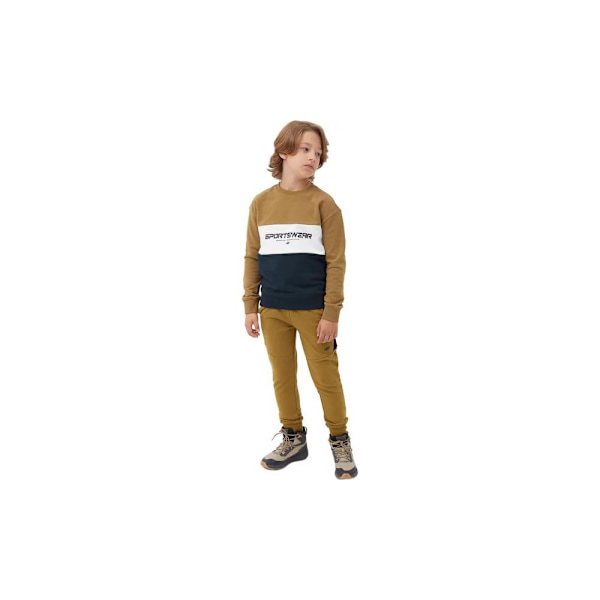 Sweatshirts 4F 4FJAW23TSWSM63074S Flåde,Brun 146 - 151 cm