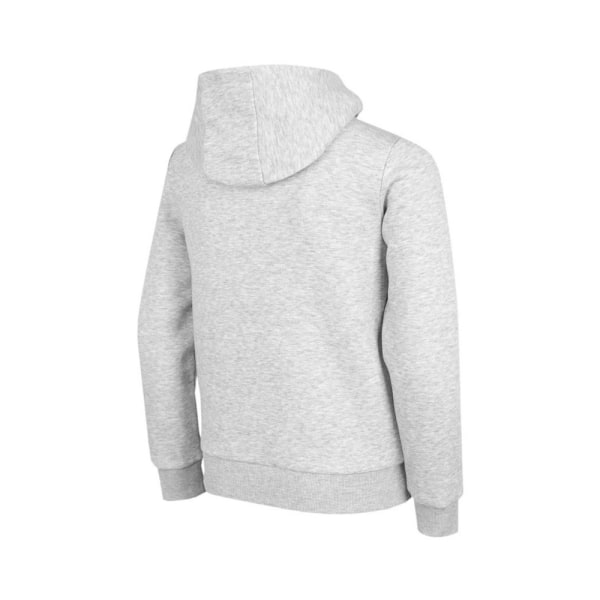 Sweatshirts 4F HJZ22JBLD00125M Gråa 122 - 127 cm