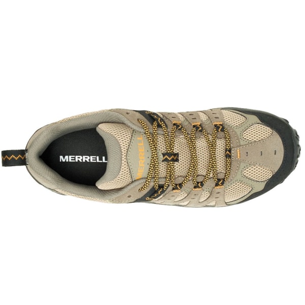 Sneakers low Merrell Accentor 3 Brun 46