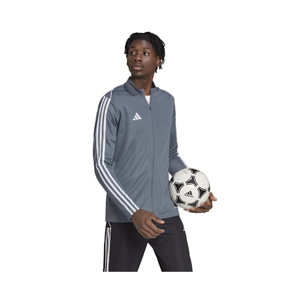 Sweatshirts Adidas Tiro 23 League Training Grå 182 - 187 cm/XL