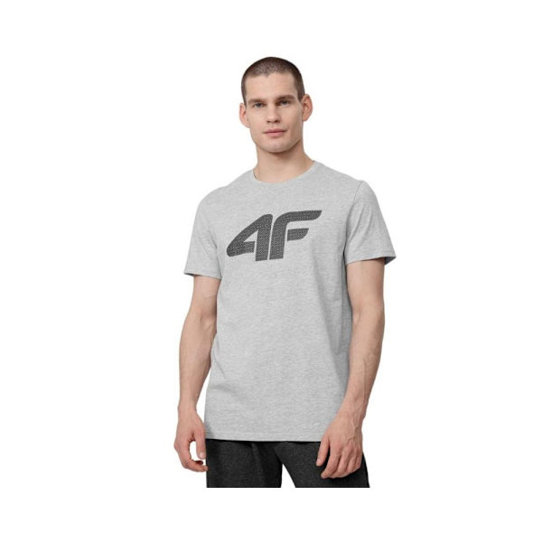 T-shirts 4F TSM353 Grå 176 - 179 cm/M