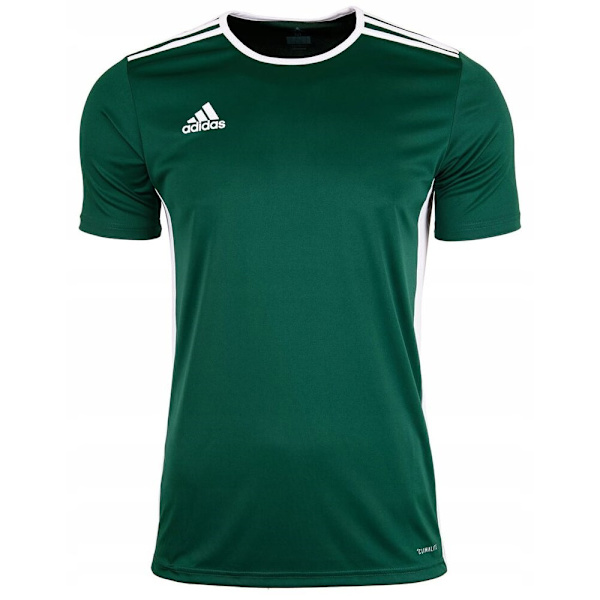 T-shirts Adidas JR Entrada 18 Grøn 135 - 140 cm/S