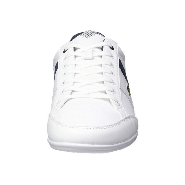 Sneakers low Lacoste Chaymon Hvid,Flåde 42.5