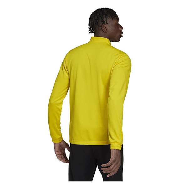 Sweatshirts Adidas Entrada 22 Training Gul 164 - 169 cm/S