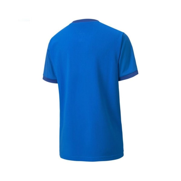 Shirts Puma Teamgoal 23 Jersey Blå 152 - 164 cm/L