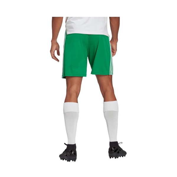 Bukser Adidas Squadra 21 Grøn 182 - 187 cm/XL